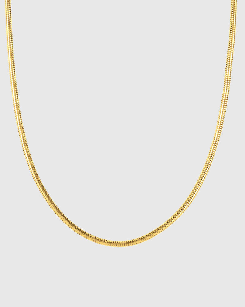 Snake Chain
