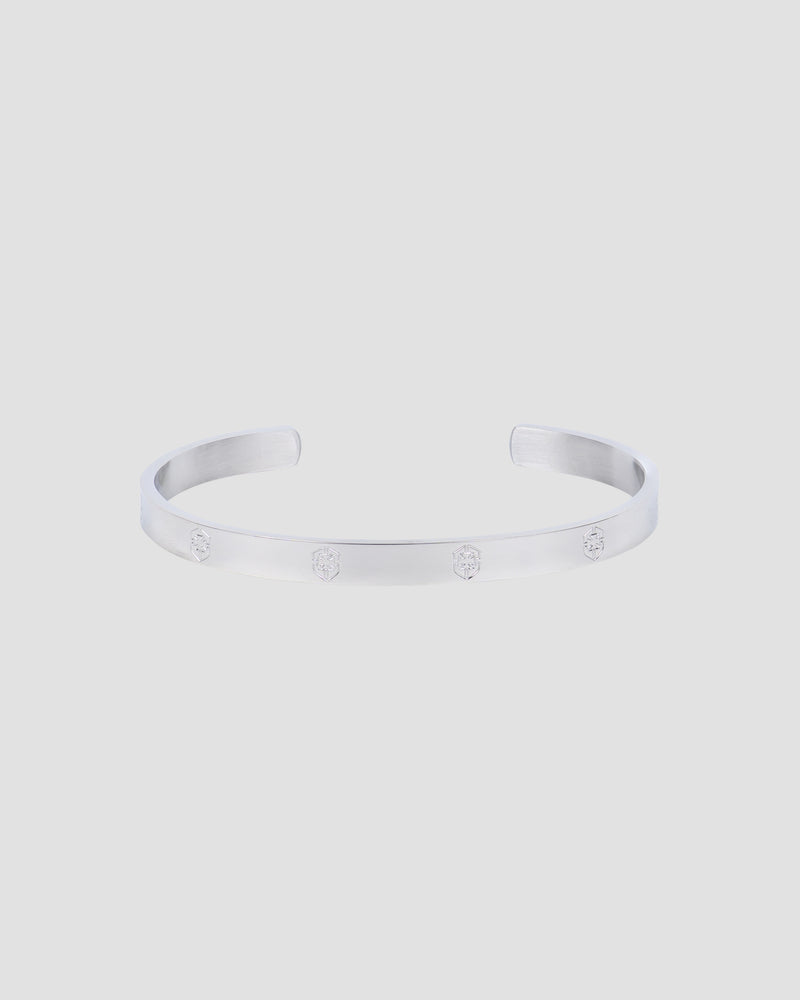 Ipa Nema Silver