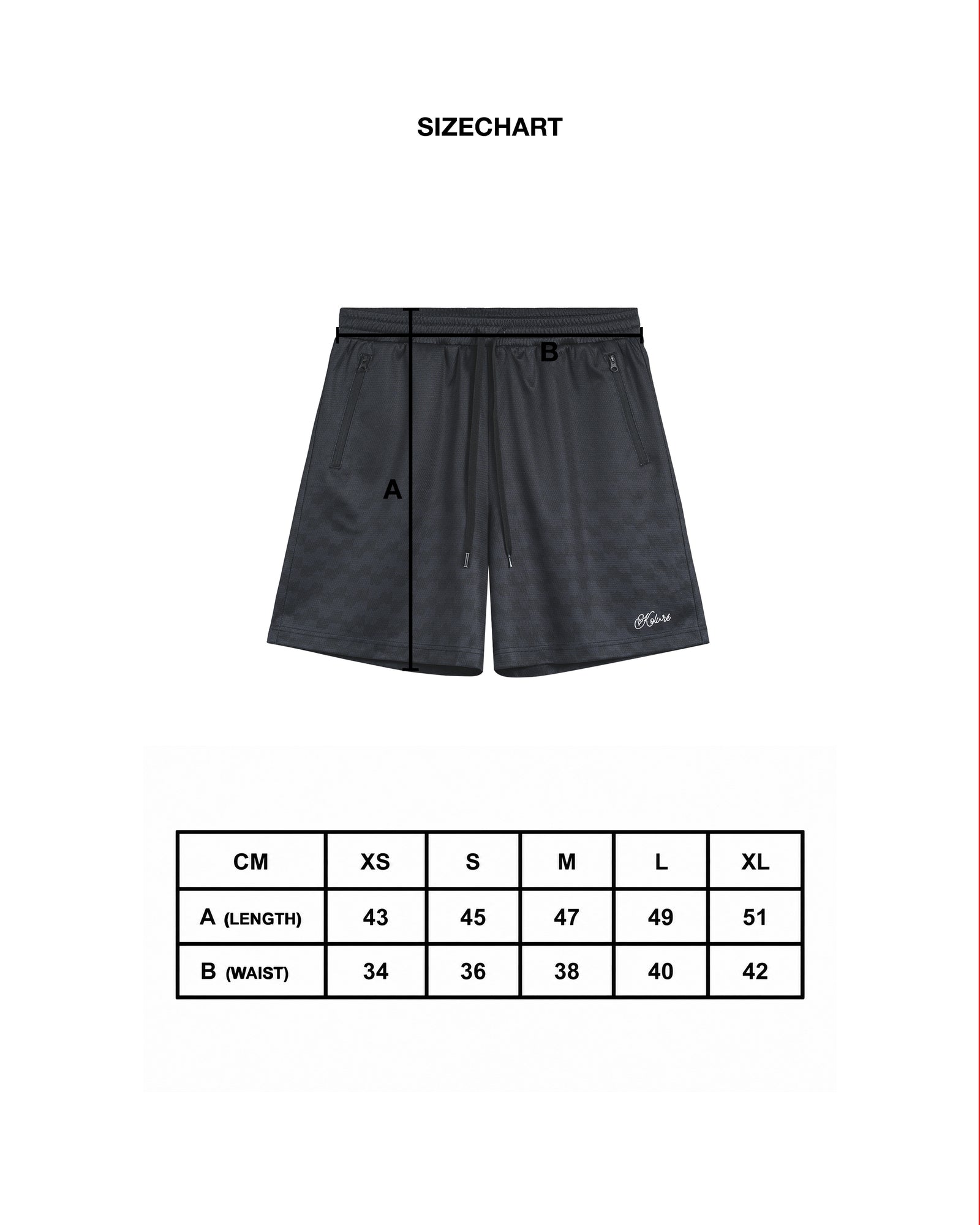 Size Chart Mesh Shorts